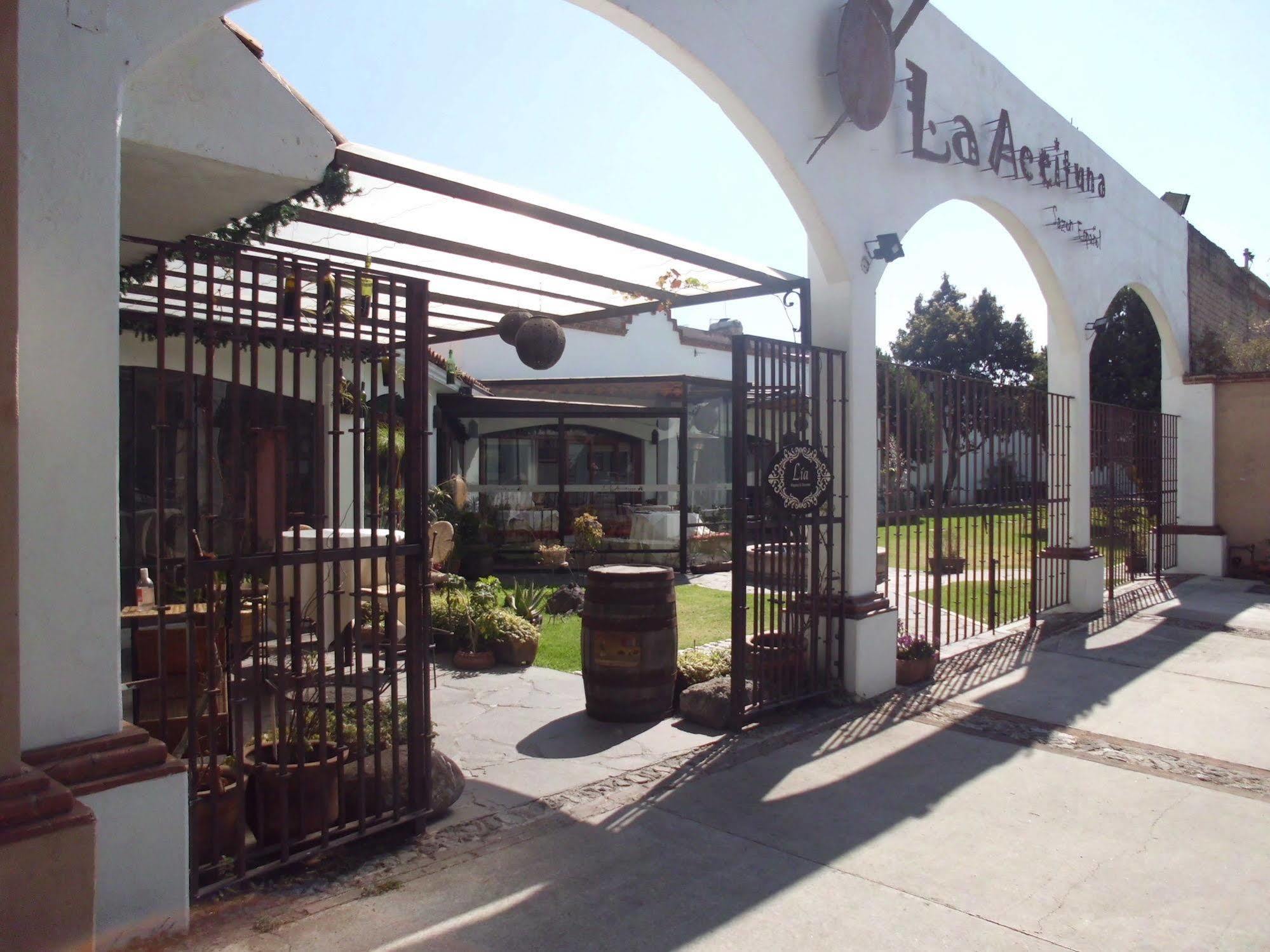 Hotel La Posada Apizaco Εξωτερικό φωτογραφία